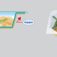 MAP PAPER SEAL SAYA PACK