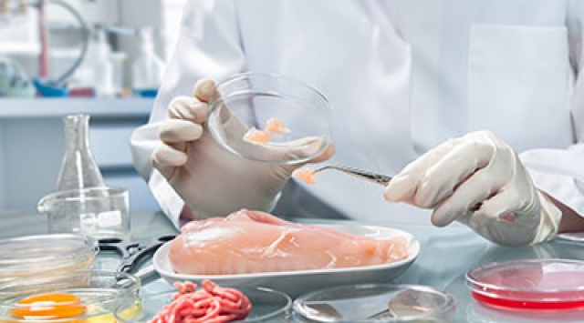 CÁC YẾU TỐ ẢNH HƯỞNG ĐẾN THỜI HẠN SỬ DỤNG THỰC PHẨM