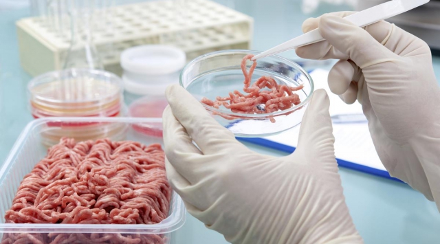 THỊT ĐỘNG VẬT