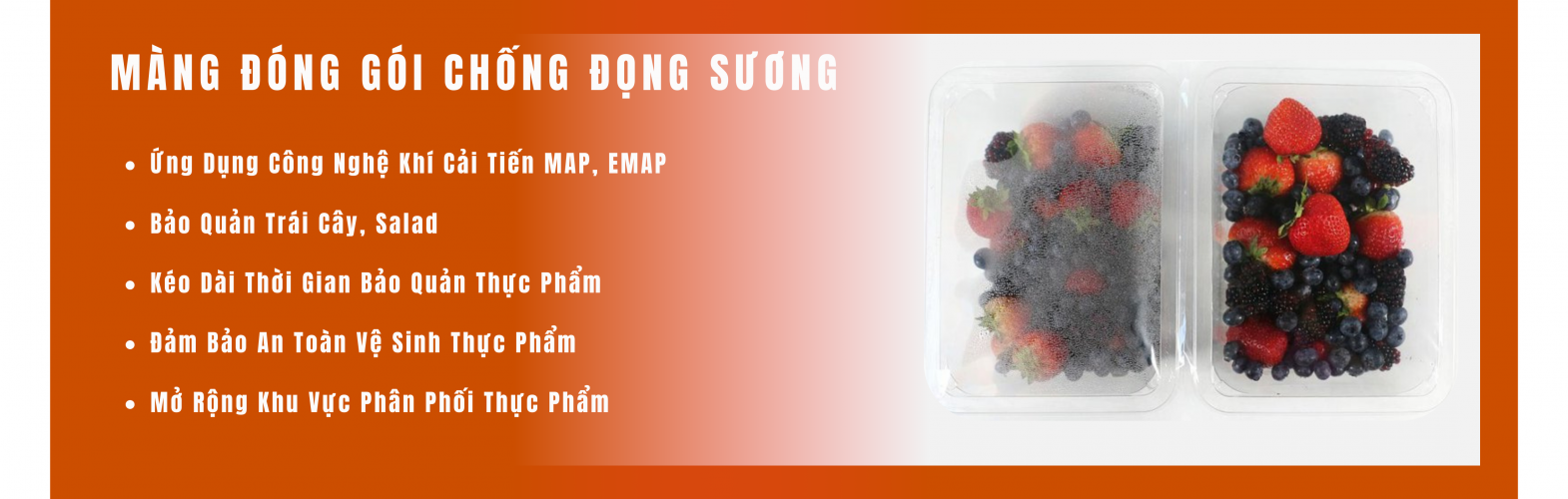 Màng chống đọng sương