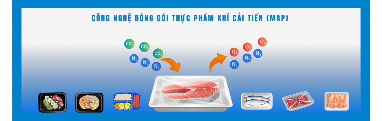 Công Nghệ Đóng Gói MAP