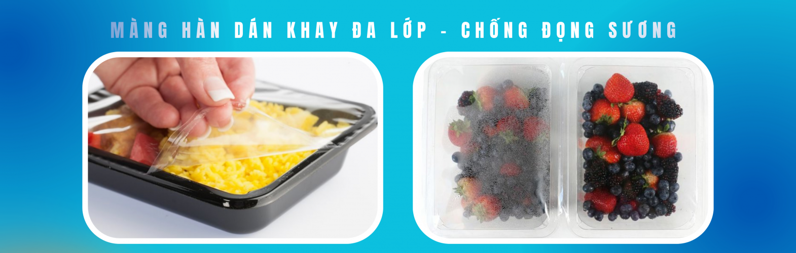 Màng hàn dán khay chống đọng sương