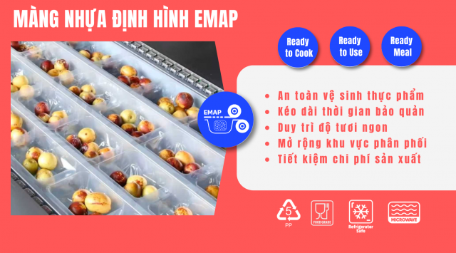 MÀNG ĐỊNH HÌNH EMAP